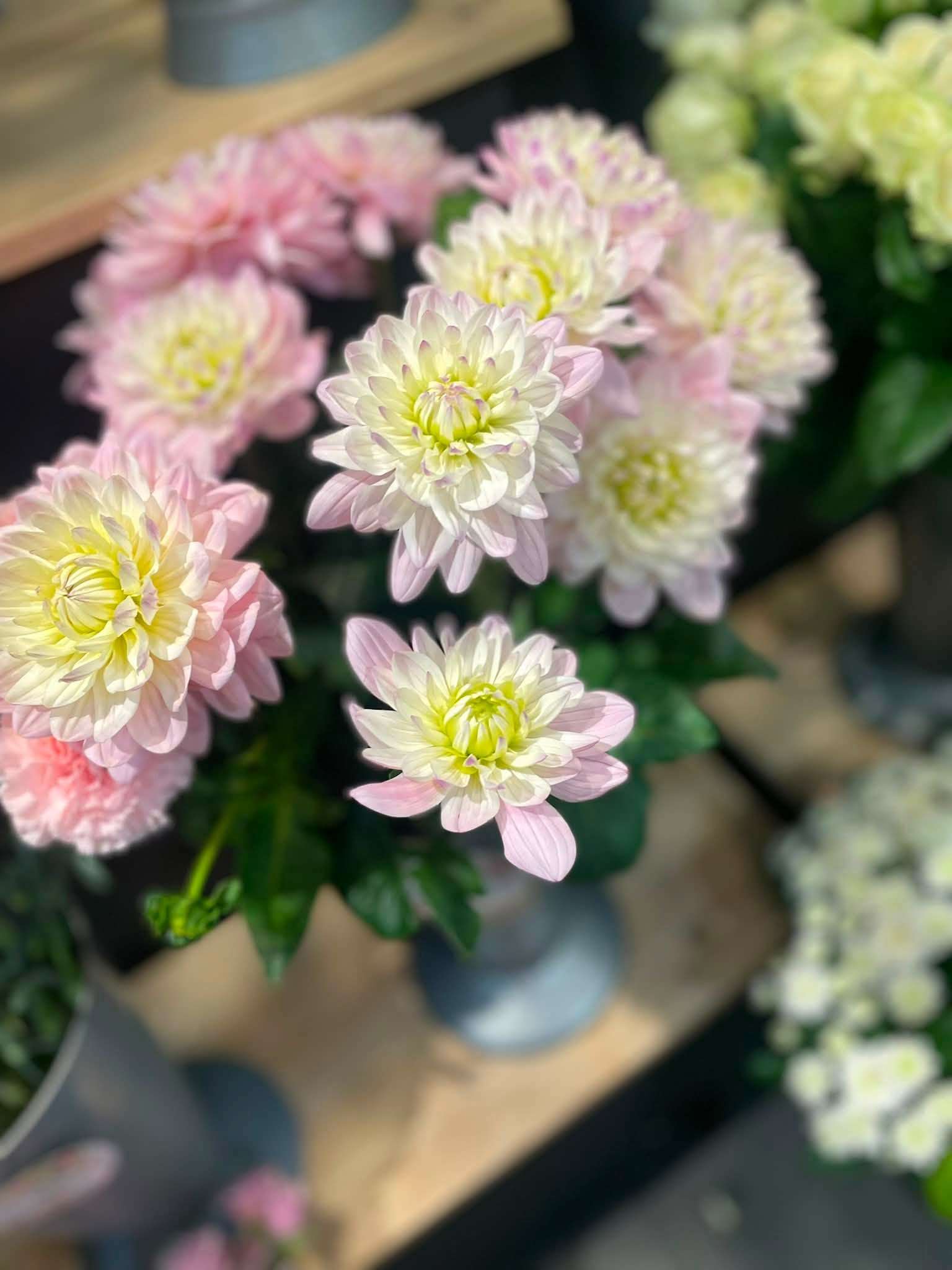 Nettoyage de tiges à l'atelier, avant montage d'un bouquet.