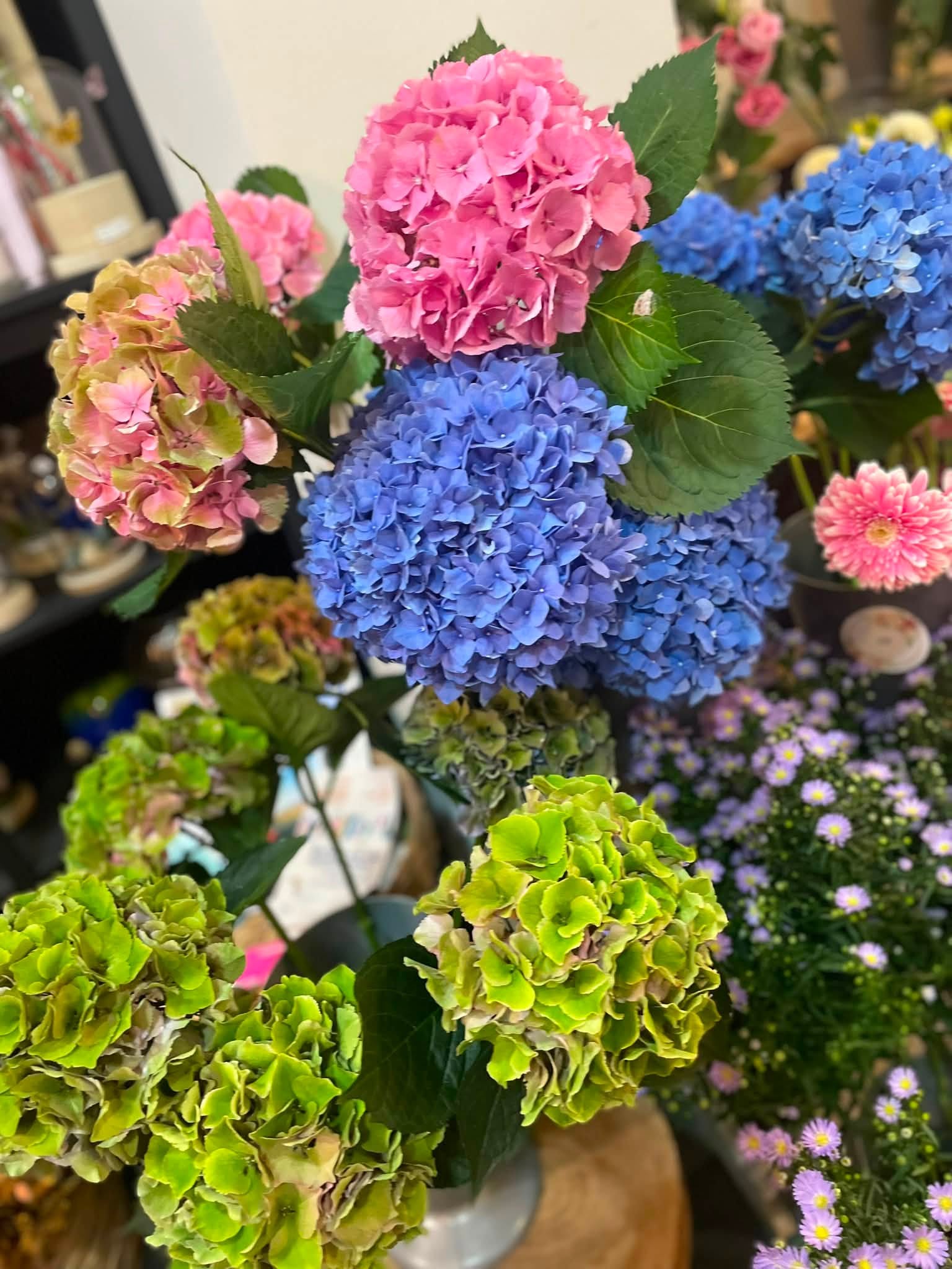Seaux de fleurs coupées fraîches en magasin, tulipes et roses.